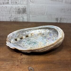 Natural Iridescent Abalone Shell Trinket Dish | 8" Long